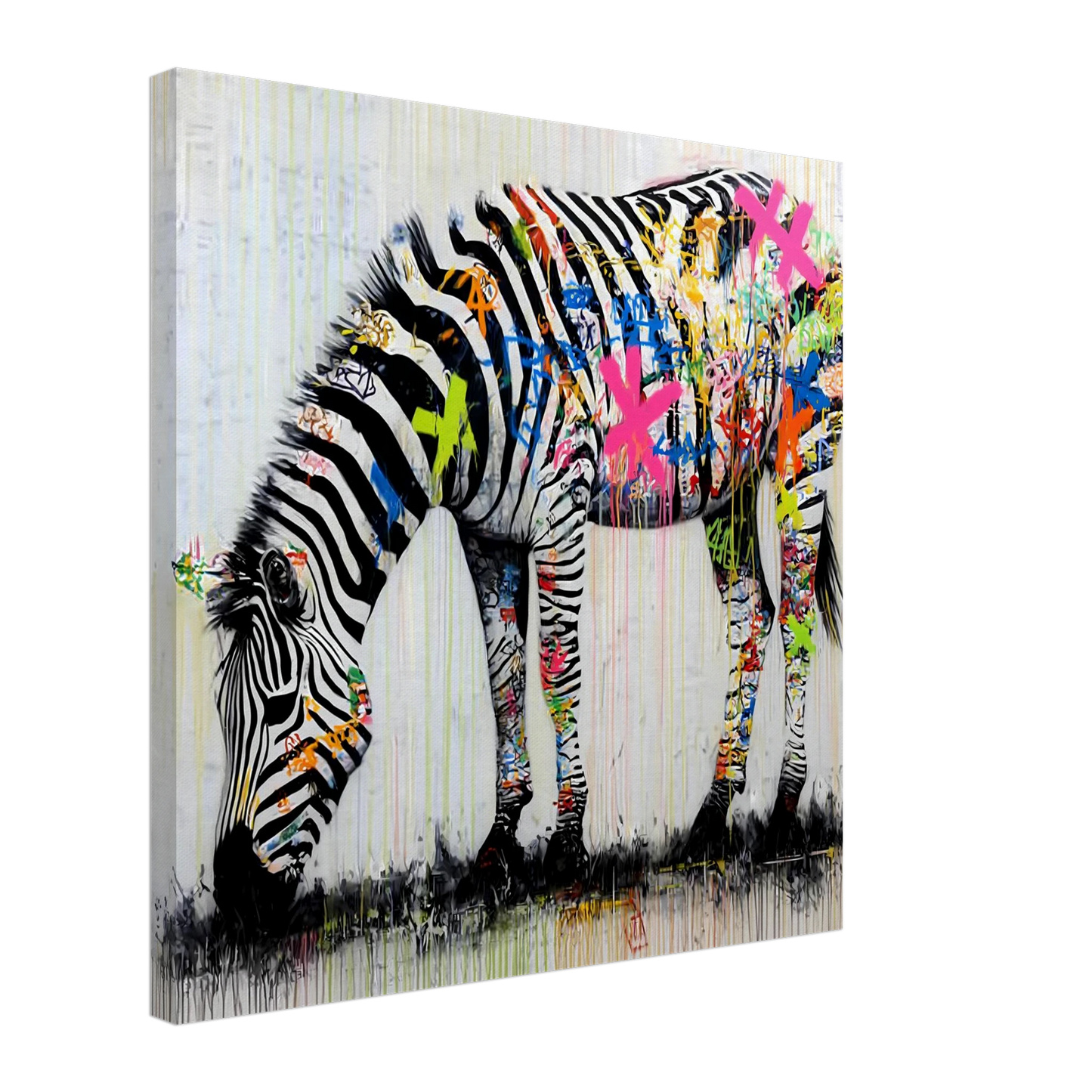 Zèbre Taggé — tableau sur toile — art mural STNCL